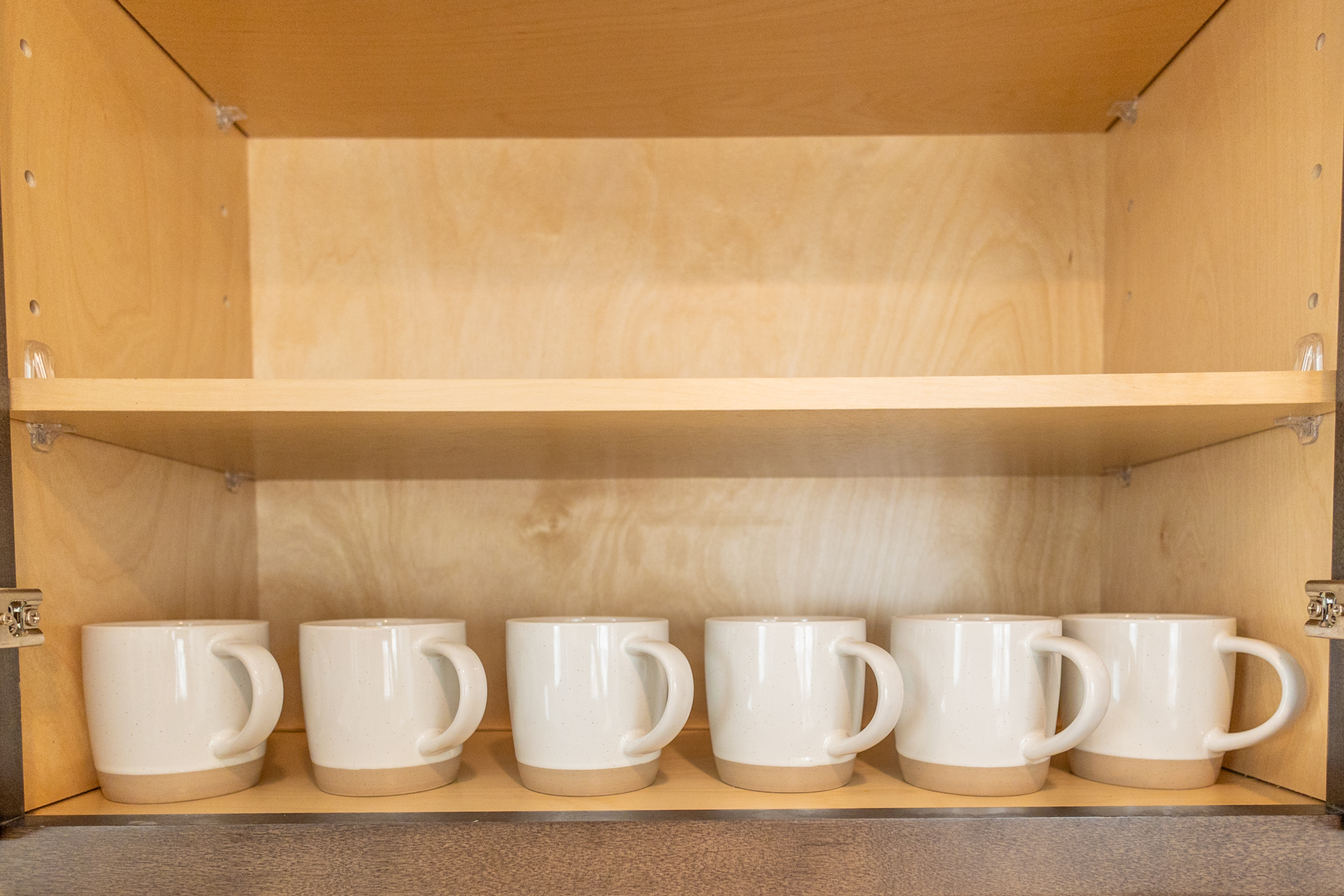 Open cabinet with six white ceramic mugs lined neatly on the bottom shelf.